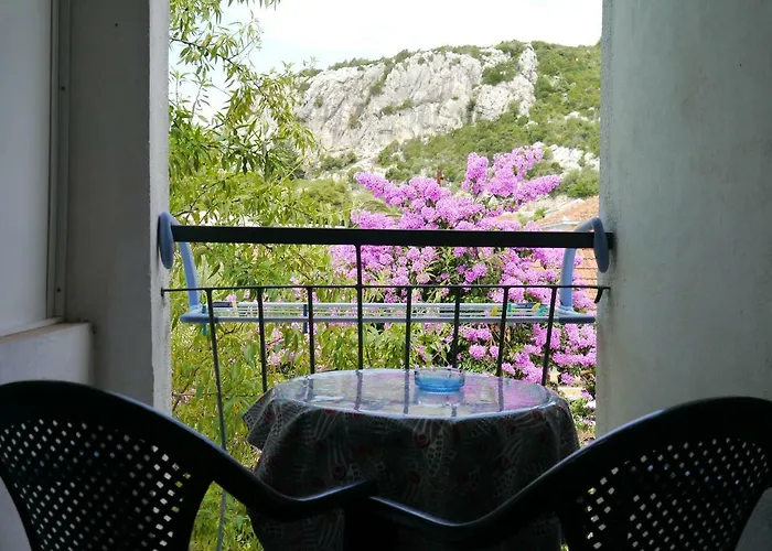 Dragovic 아파트 *